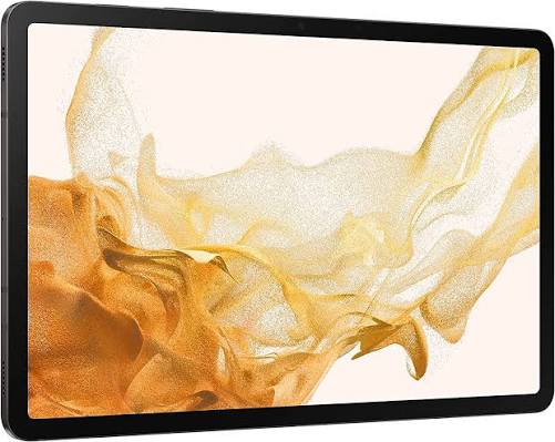 SAMSUNG Galaxy Tab S6 Lite Tablet 64GB Bildschirmgröße 9,5